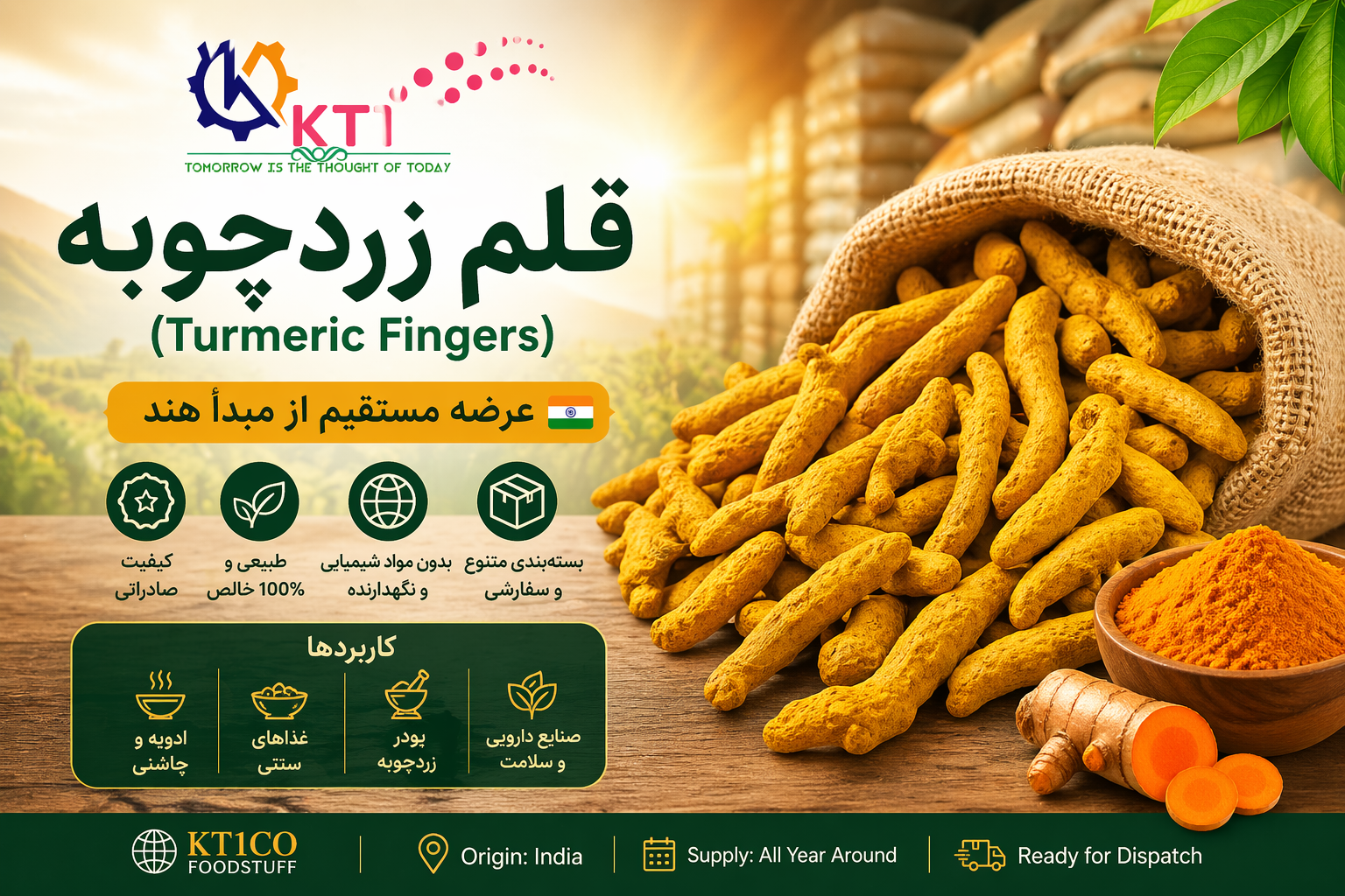 قلم زردچوبه هند با کیفیت صادراتی – Turmeric Fingers bulk India KT1CO